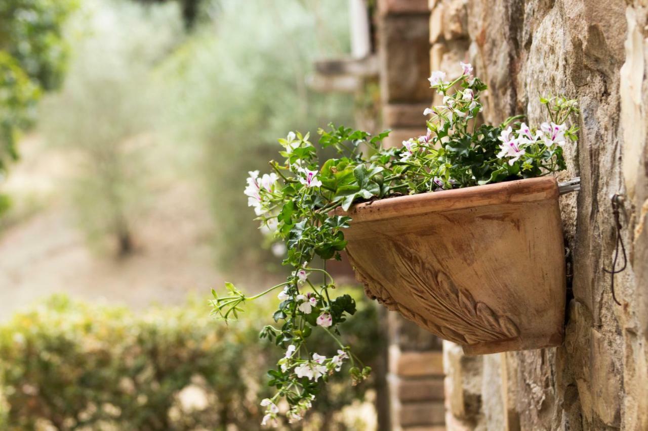 Villa Del Fattore Montalcino Exterior foto