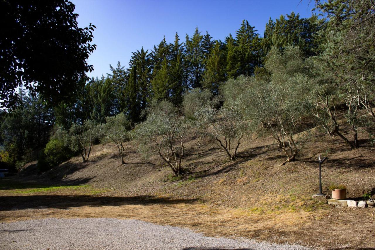 Villa Del Fattore Montalcino Exterior foto